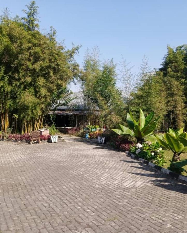Le Bambou Gorilla Lodge Kinigi Екстер'єр фото