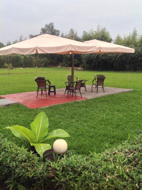 Le Bambou Gorilla Lodge Kinigi Екстер'єр фото