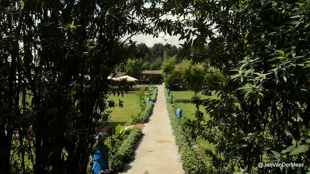 Le Bambou Gorilla Lodge Kinigi Екстер'єр фото