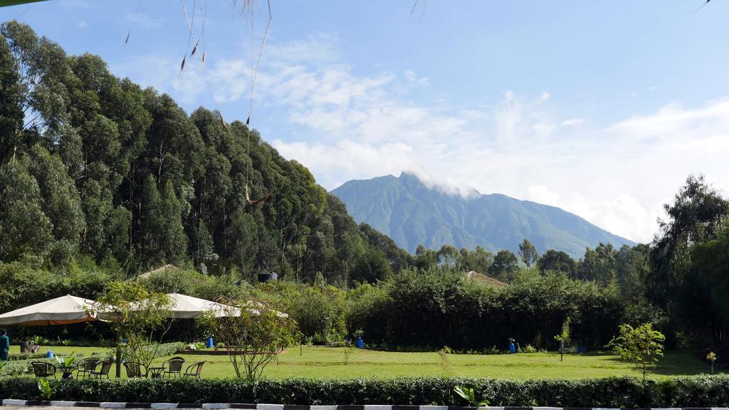Le Bambou Gorilla Lodge Kinigi Екстер'єр фото