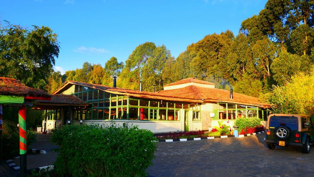 Le Bambou Gorilla Lodge Kinigi Екстер'єр фото