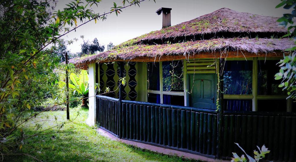 Le Bambou Gorilla Lodge Kinigi Екстер'єр фото
